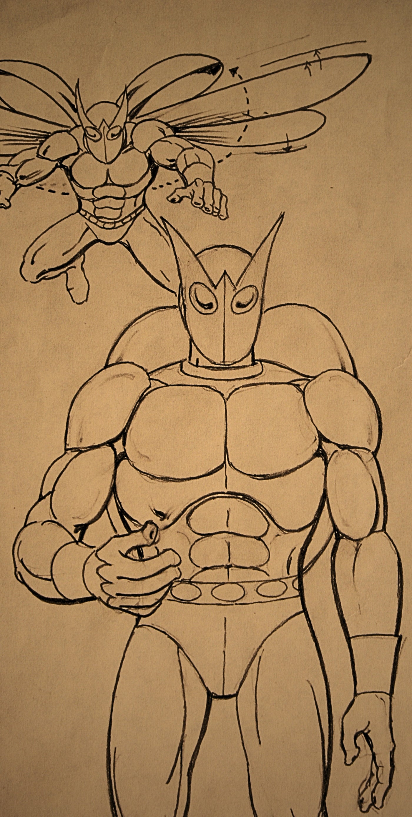 Beetle — Animation Character Design Drawing